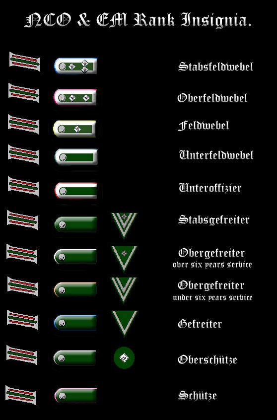 NCO/EM ranks insignia